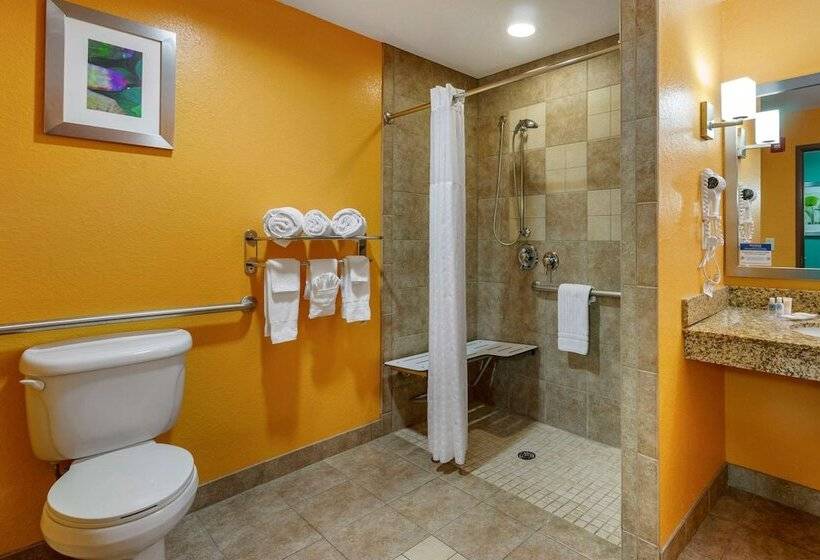 בית מלון כפרי Hampton Inn By Hilton Tampa Fairgrounds Casino