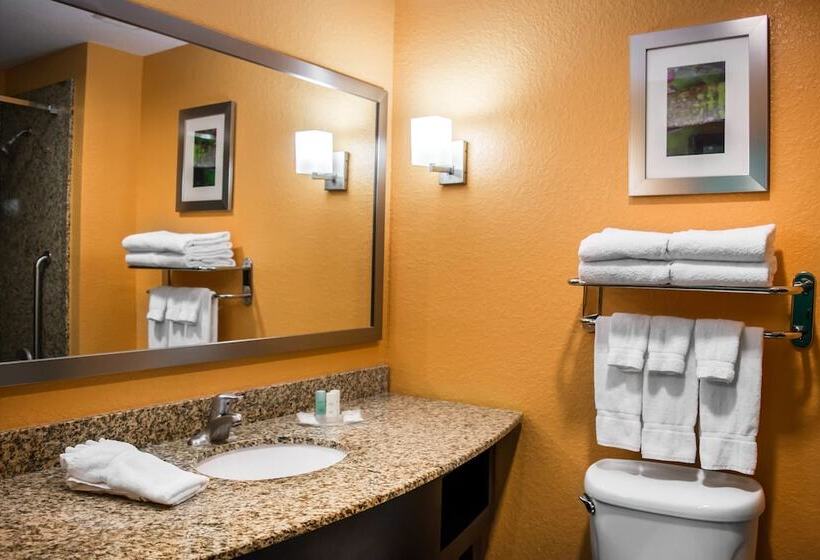 فندق Hampton Inn By Hilton Tampa Fairgrounds Casino