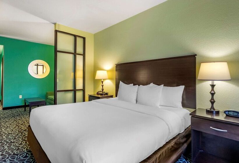فندق Hampton Inn By Hilton Tampa Fairgrounds Casino