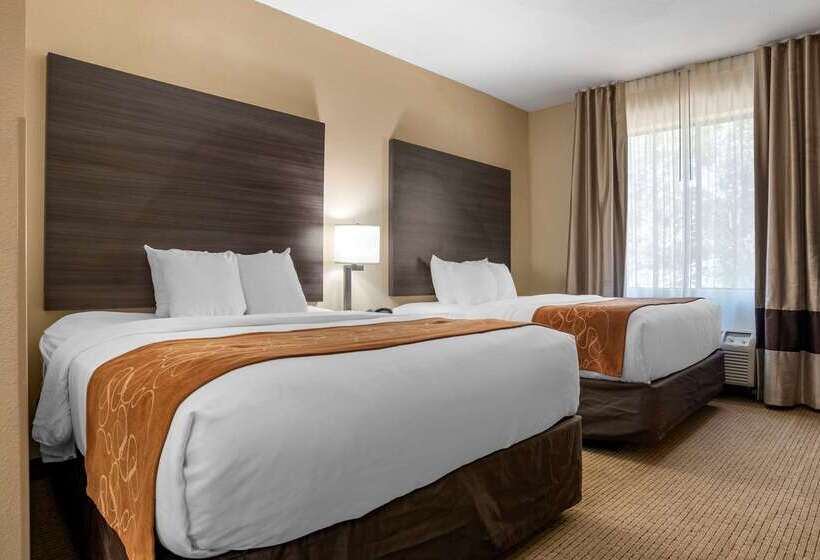 ホテル Comfort Suites Mobile West Tillmans Corner