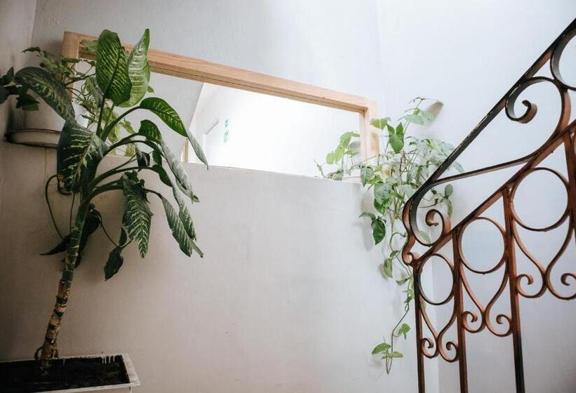 ホテル Del Portal San Miguel De Allende