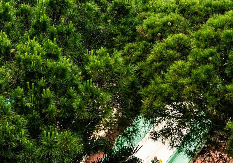 فندق Forte Village Resort  Villa Del Parco & Spa