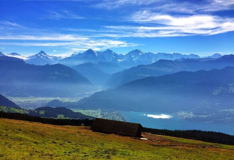 Отель Harder Minerva