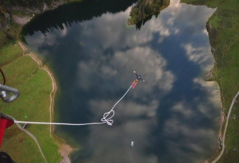 Отель Harder Minerva