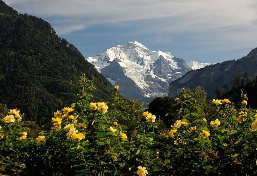 Отель Harder Minerva