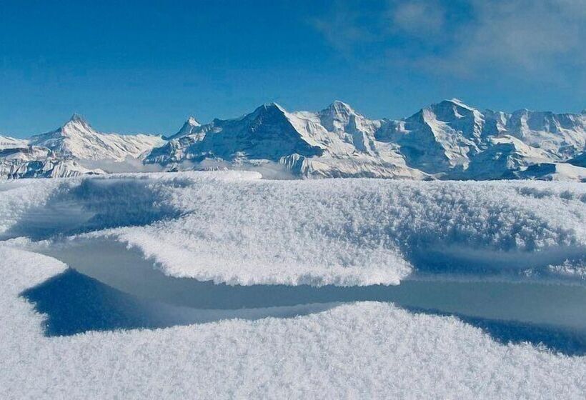 Отель Harder Minerva