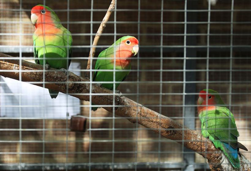 Отель Palmers Lodge Hillspring At Willesden Green