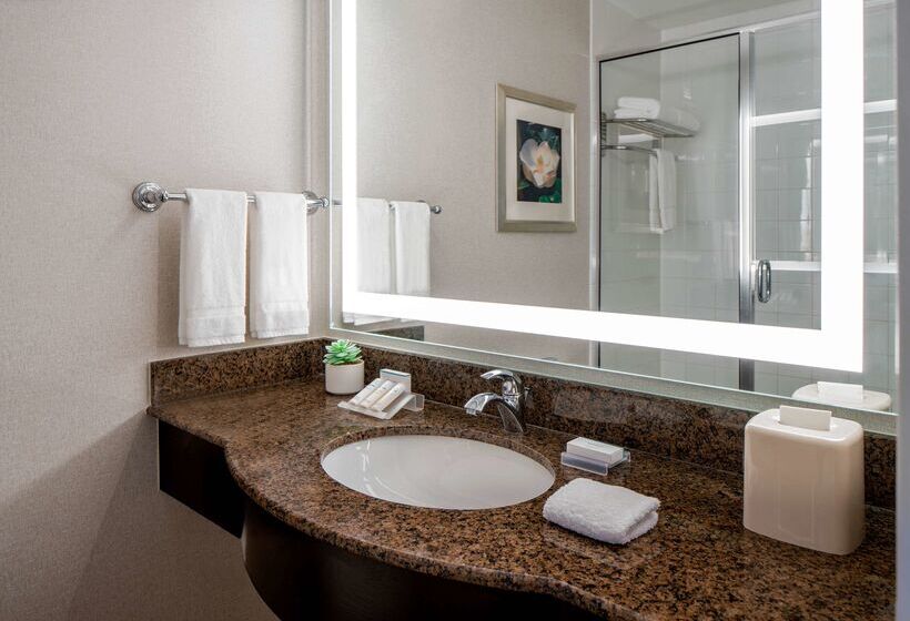 فندق Hilton Garden Inn Jackson Downtown