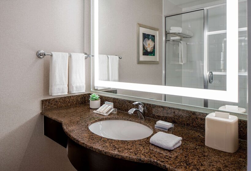 فندق Hilton Garden Inn Jackson Downtown