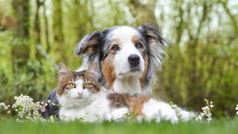 هتل Holiday Inn Baton Rouge College Drive I 10, An Ihg