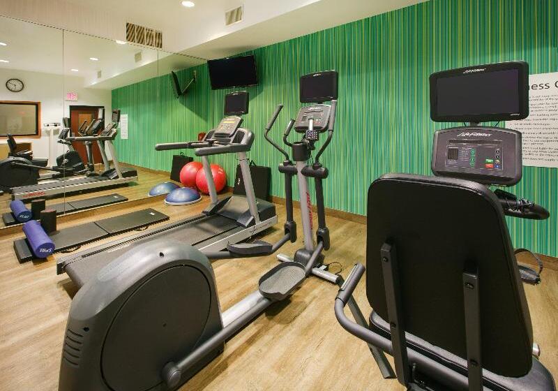 Holiday Inn Express Hotel & Suites Burleson/ft. Worth By Ihg