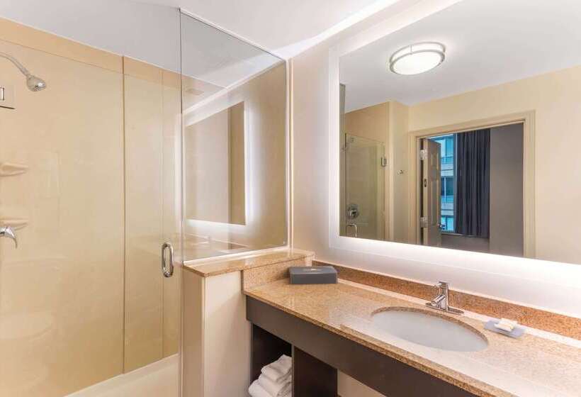 호텔 La Quinta By Wyndham Chicago Downtown