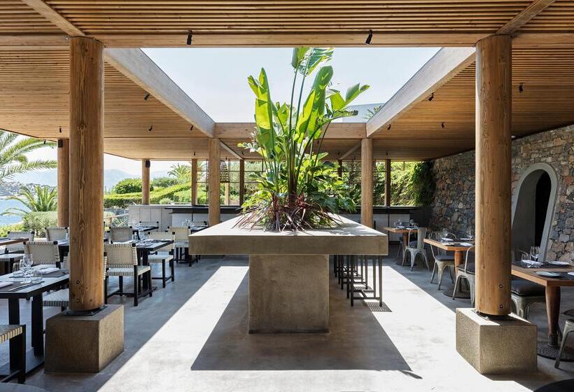 فندق Minos Palace Resort   Adults Only