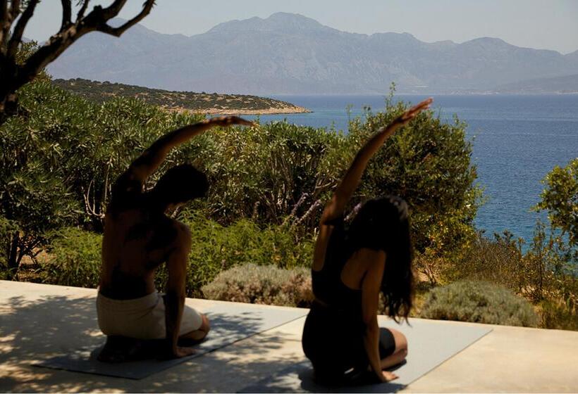 فندق Minos Palace Resort   Adults Only