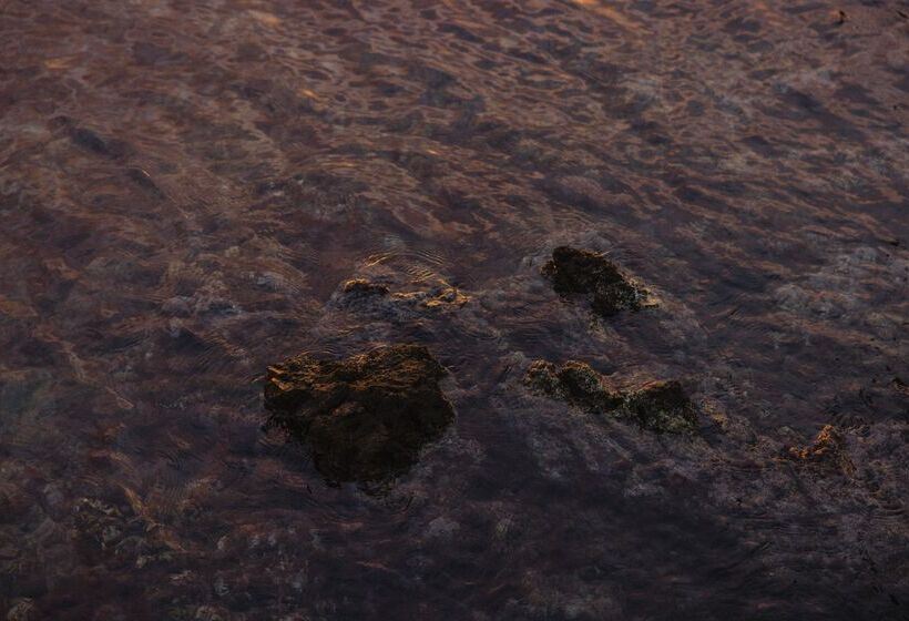 فندق Minos Palace Resort   Adults Only