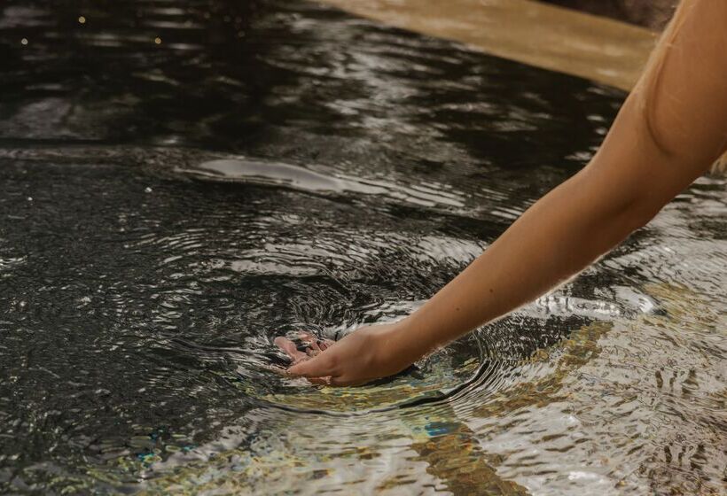 فندق Minos Palace Resort   Adults Only