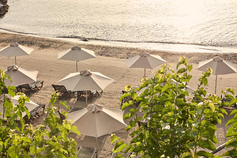 فندق Minos Palace Resort   Adults Only