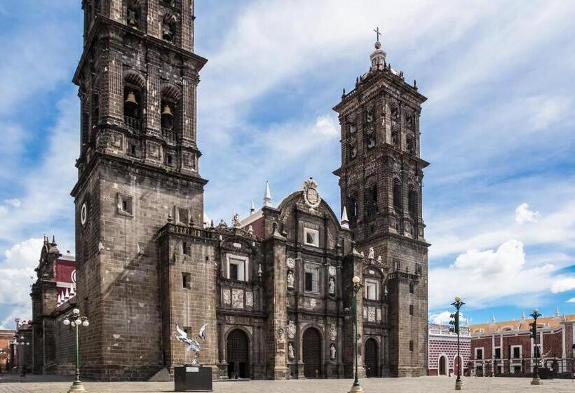 فندق One Puebla Finsa