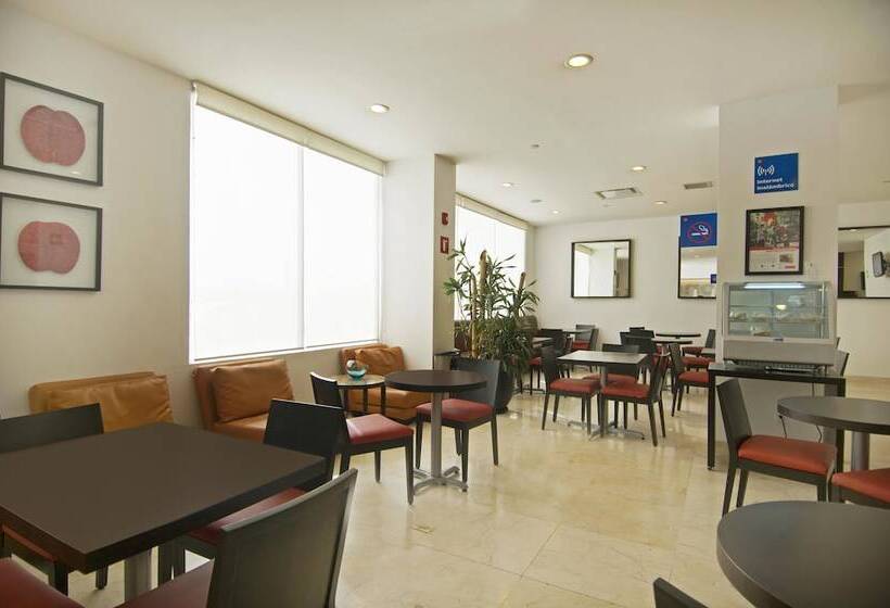 فندق One Toluca Aeropuerto