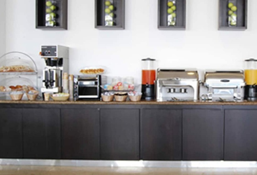 فندق One Toluca Aeropuerto