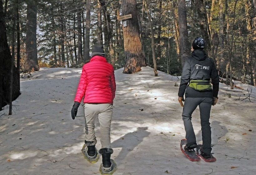 호텔 Purity Spring Resort