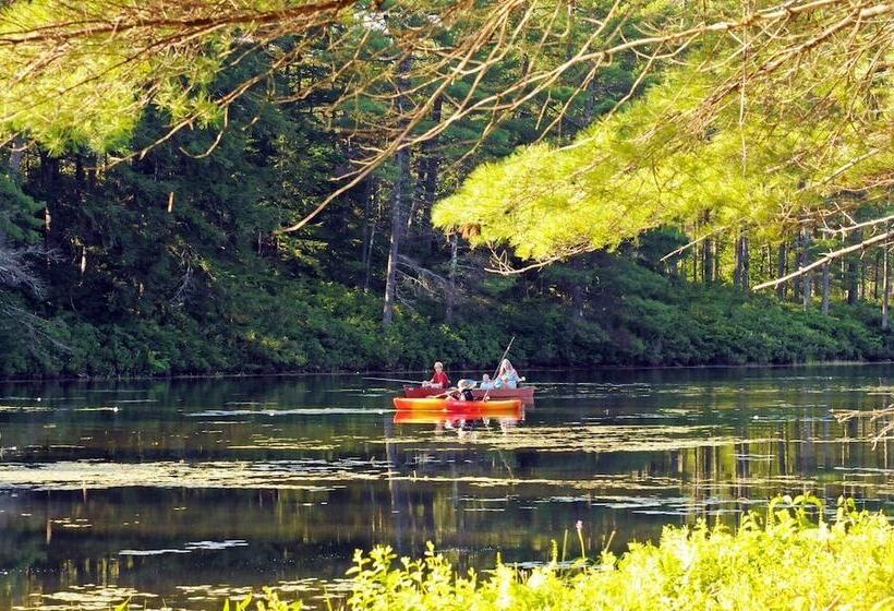 호텔 Purity Spring Resort