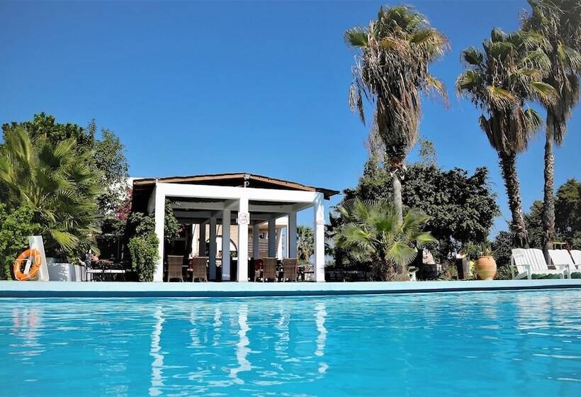 Отель Rhodian Sun