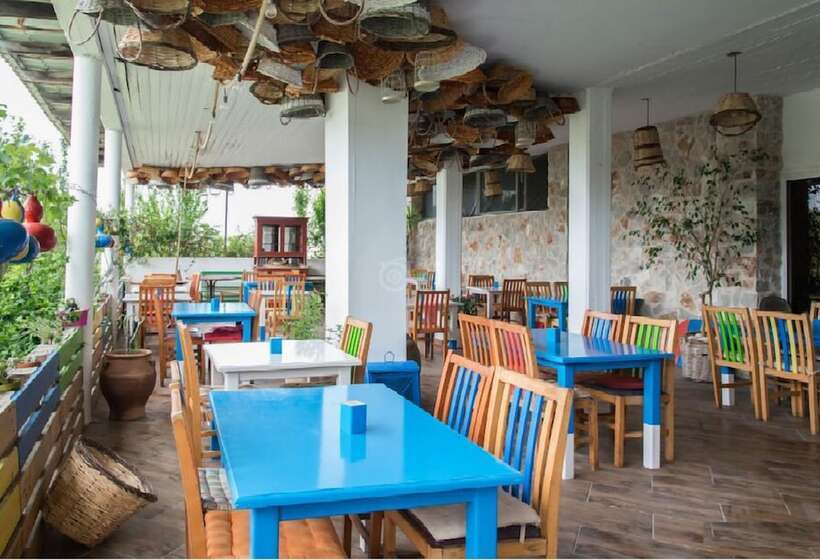 Отель Rhodian Sun