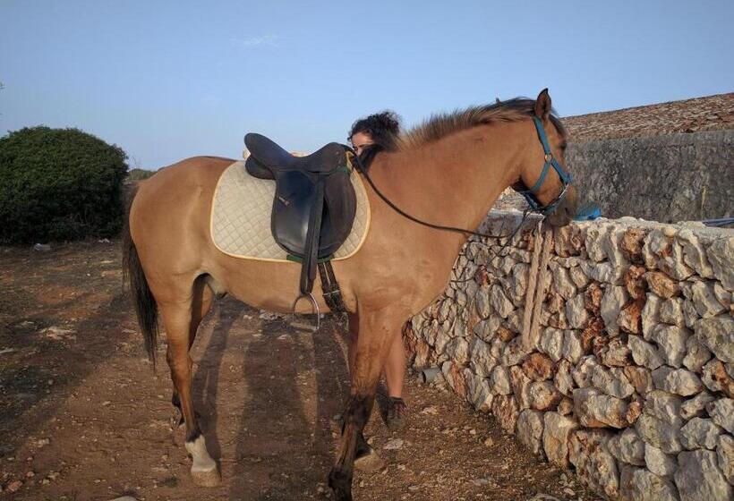 בית מלון כפרי Agroturismo Matxani Gran