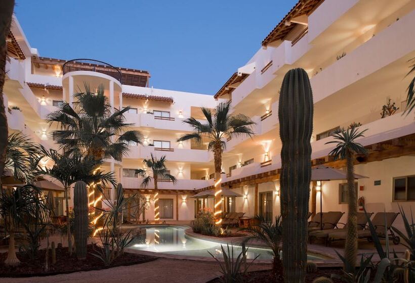 فندق Santa Fe Loreto by Villa Group