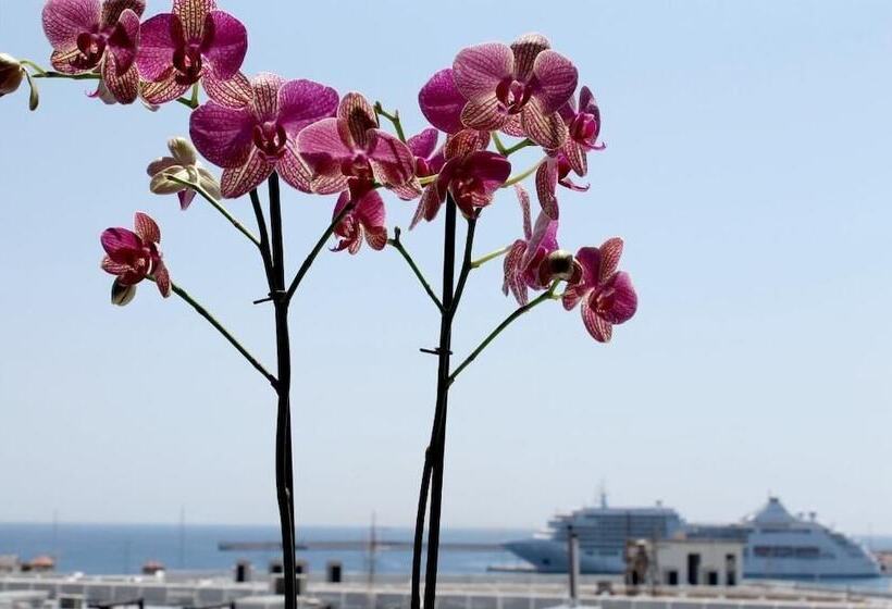 בית מלון כפרי Savoy