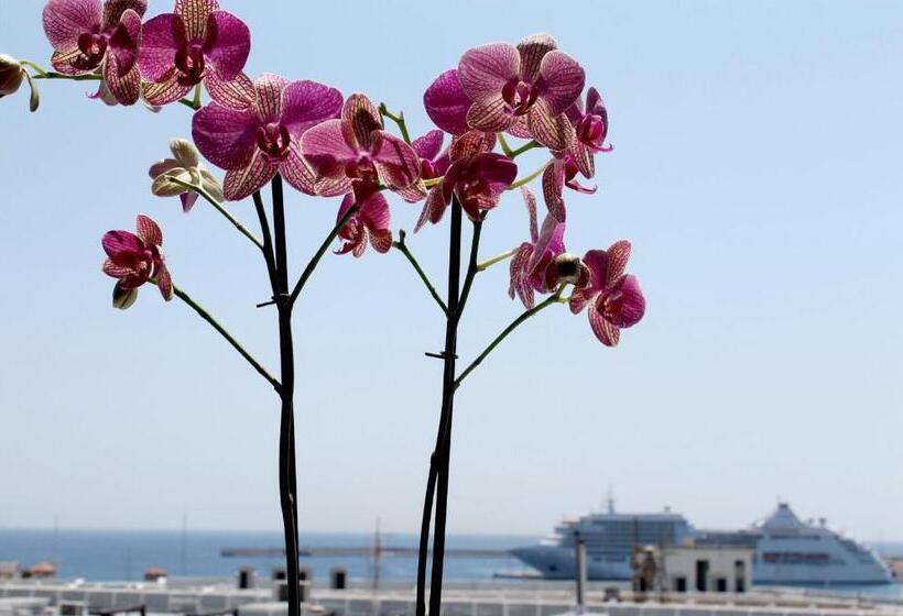 בית מלון כפרי Savoy