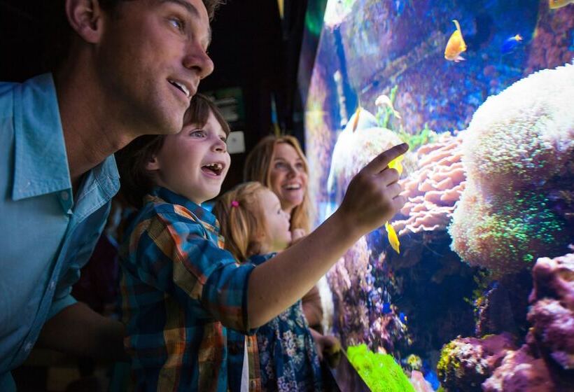 호텔 Sheraton Niagara Falls