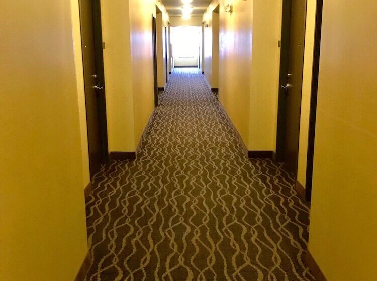 ホテル Sleep Inn & Suites