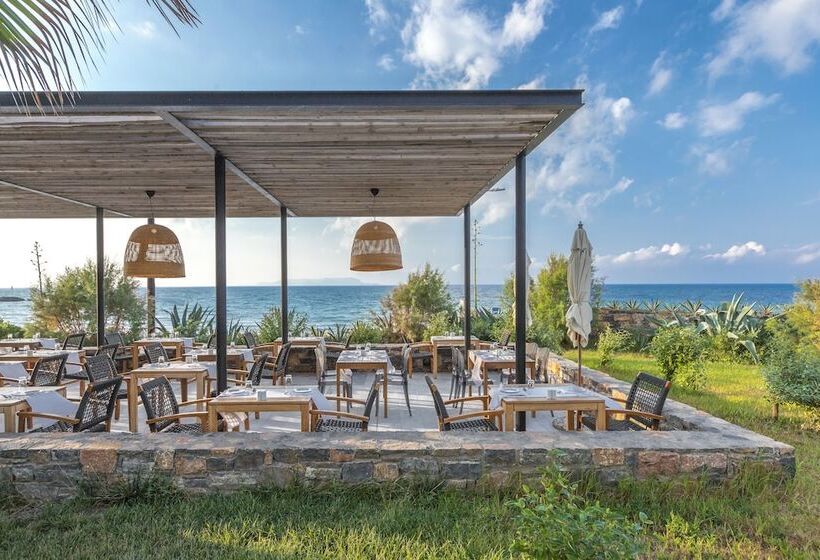 The Island Hotel   Adults Only