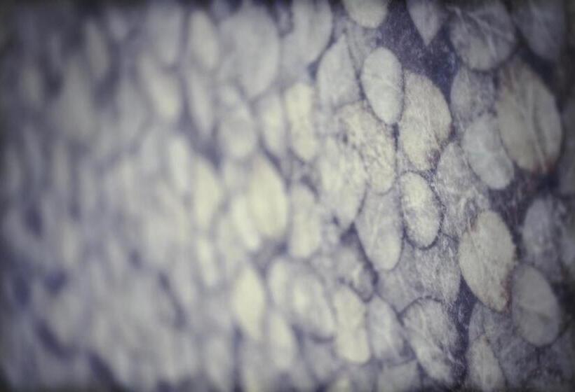 ホテル Torre De Quintana