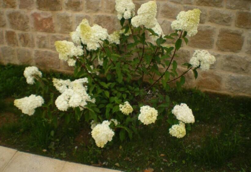 ホテル Torre De Quintana