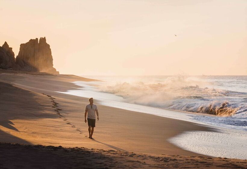 هتل Waldorf Astoria Los Cabos Pedregal