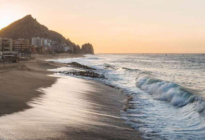 酒店 Waldorf Astoria Los Cabos Pedregal