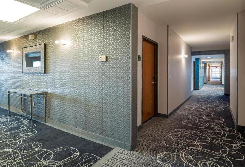 هتل Wingate By Wyndham Chihuahua