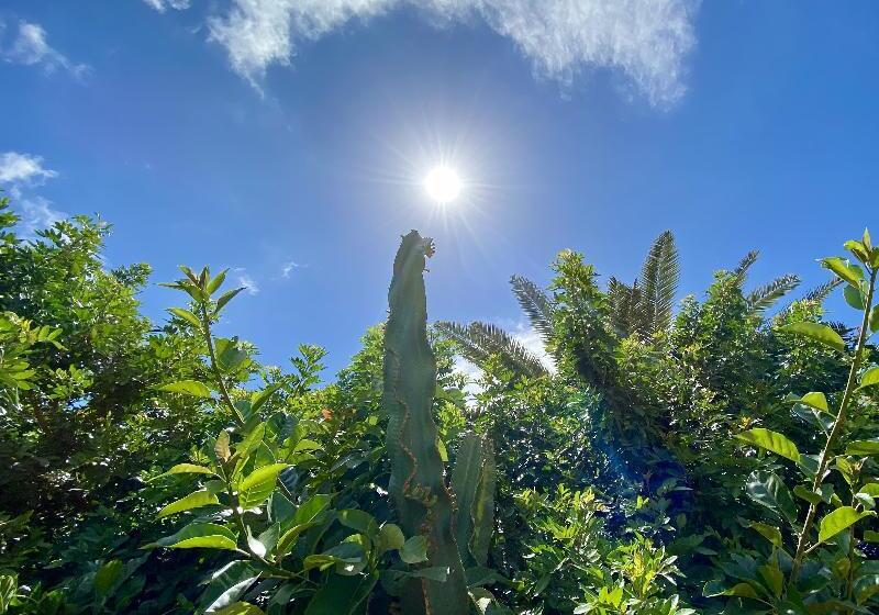 Leticia Del Mar Adults Only