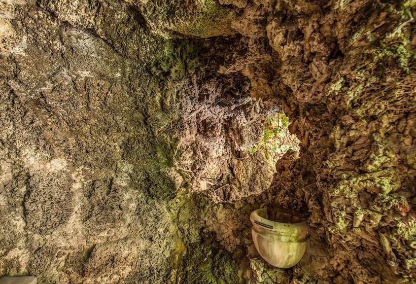 Trevi Collection Hotel   Gruppo Trevi Hotels