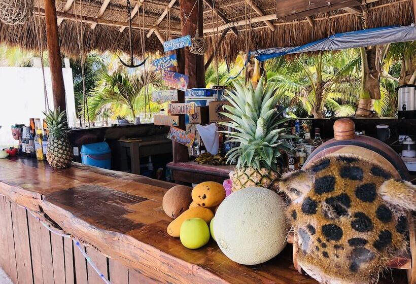 ホテル Camping Lunas Bar