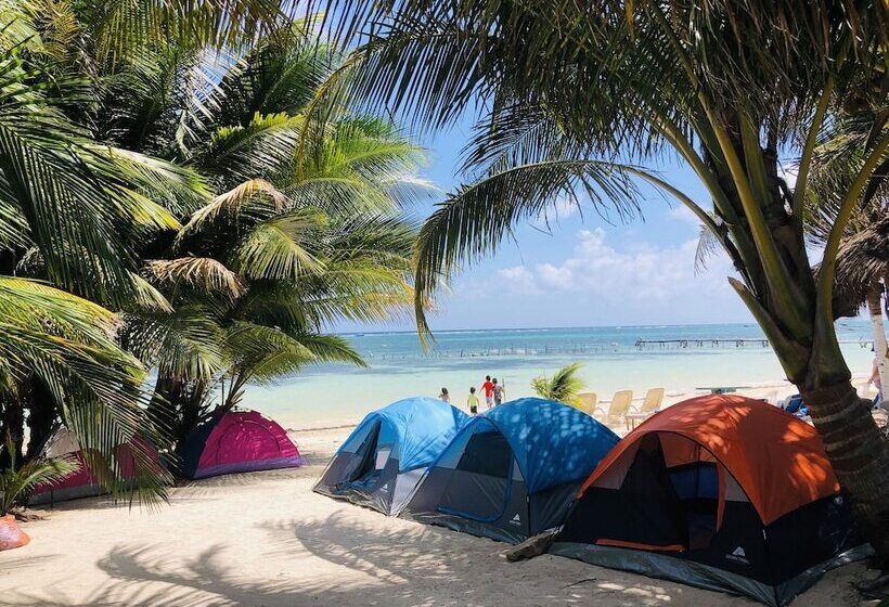 Отель Camping Lunas Bar