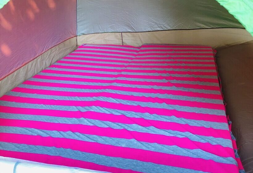 Отель Camping Lunas Bar