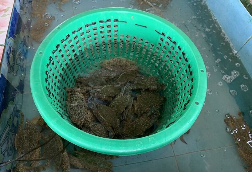 ホテル Koh Jum Aosi Beach View