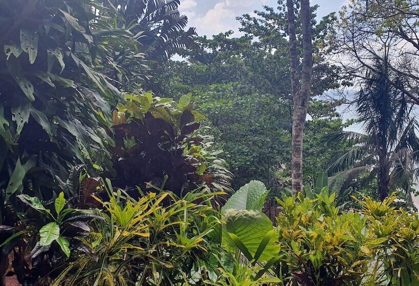 ホテル Koh Jum Aosi Beach View