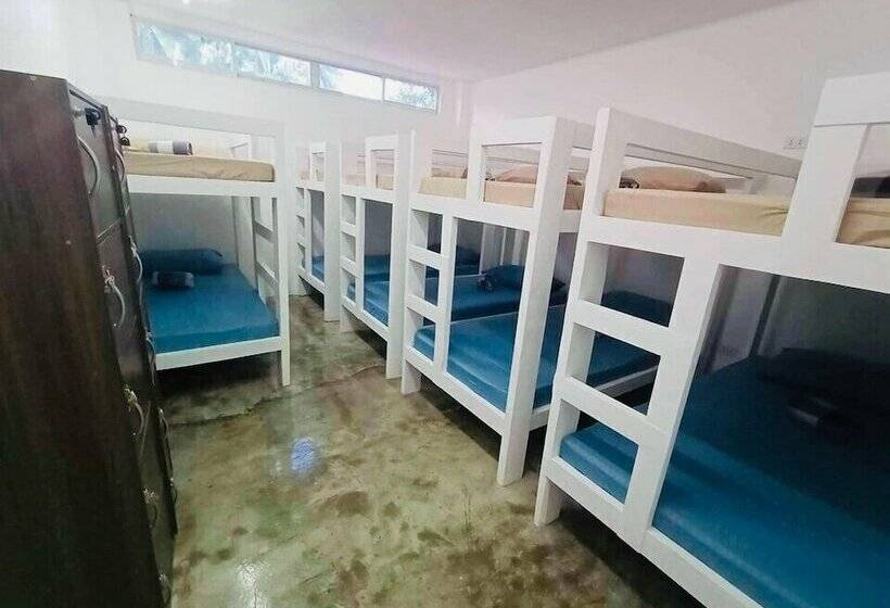 هتل Tropical Vibes Inn Siargao