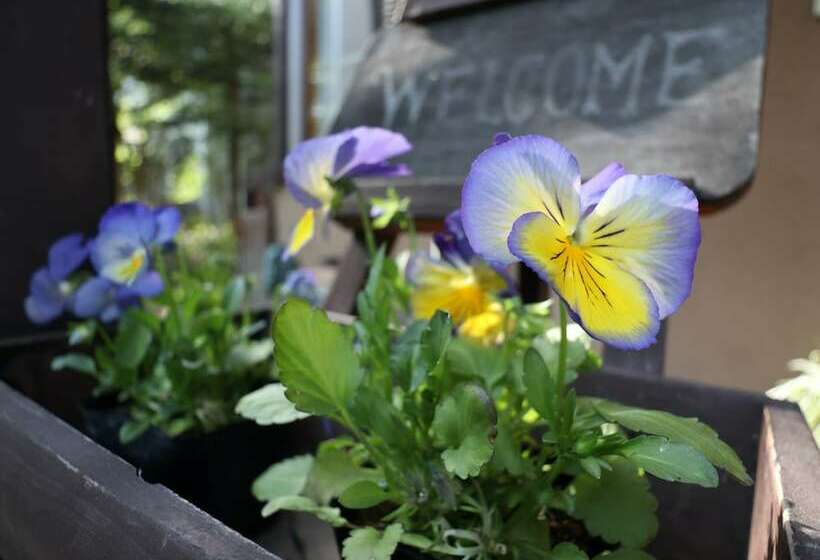 Pension Jack And The Beanstalk