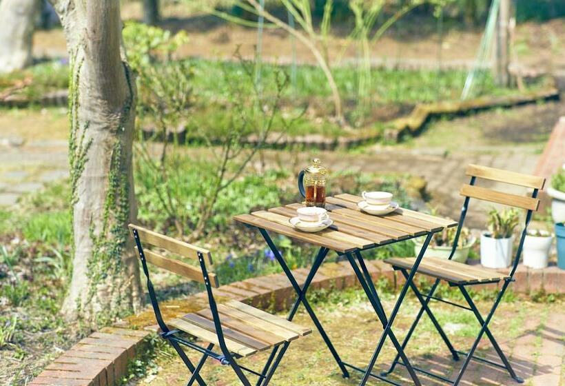 Pension Jack And The Beanstalk